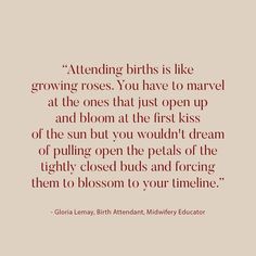 a quote from glora lenny about attending birds is like growing roses you have to marvel at the ones that just open up and bloom at the first kiss