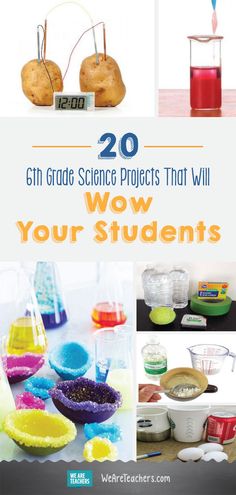 science projects that will wow your students