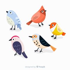 six colorful birds standing in a circle