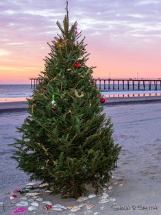 a christmas tree on the beach with a pier in the background