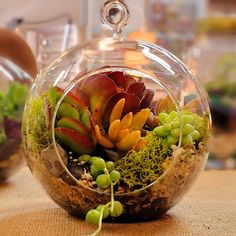 a glass vase filled with succulents and moss on top of a table