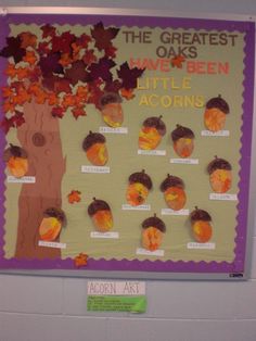 a bulletin board with leaves and acorns on it in the shape of a tree