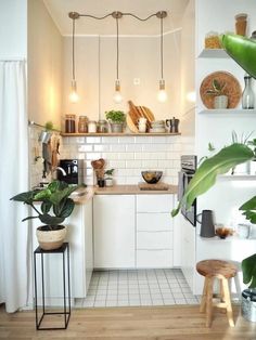 a kitchen filled with lots of pots and pans on top of a counter next to a potted plant