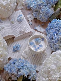 blue and white hydrangeas scattered around an open book on a table with a coffee cup