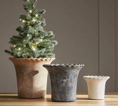 three potted plants sitting on top of a wooden table next to a small christmas tree