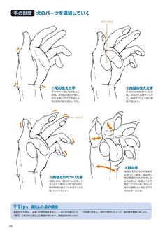 instructions for how to draw hands in japanese