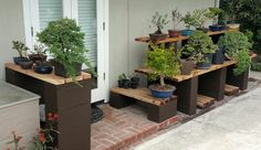 several potted plants sit on wooden shelves in front of a house