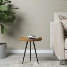 a living room with a couch, chair and small table in the corner next to a potted plant