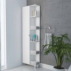 a bathroom with a potted plant next to the wall and shelves in front of it