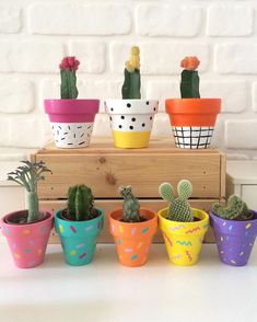 there are many potted plants in different colors on the table and one is painted with polka dots