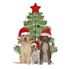 three dogs wearing santa hats sitting in front of a christmas tree with decorations on it