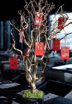 a bonsai tree with red packets hanging from it's branches