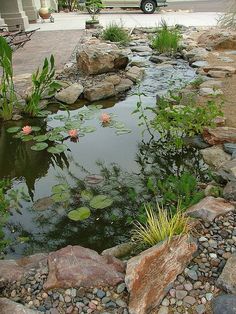 a pond with rocks and water lilies in it