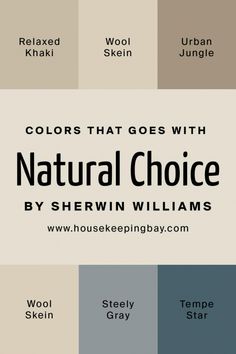 the colors that goes with natural choice by sheryln williams, including blue, gray and