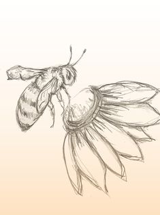 a drawing of a bee sitting on top of a flower next to an insect's wing