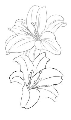 a drawing of a flower on a white background