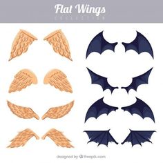 different types of wings in various shapes, sizes and colors on a white background with the words flat wings collection written below