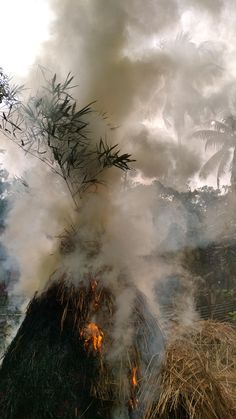 #bihu #assam Magh Bihu Assam Photography, Assam Bihu Pic, Assam Aesthetic, Assam Photography, Birthday Cake Pictures