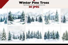 the winter pine trees are painted in watercolor and then have been added to it