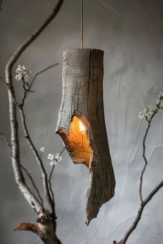 a light that is on top of a tree branch hanging from a ceiling fixture in the shape of a piece of driftwood