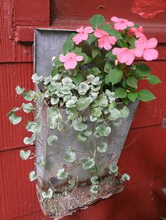 some pink flowers are growing in a metal planter on the side of a red building