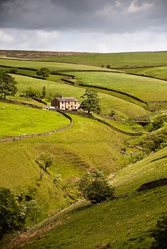 a house in the middle of a lush green field