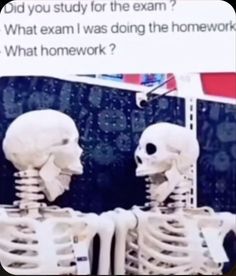 two skeletons sitting next to each other in front of a sign that says, did you study for the exam? what exam i was doing the homework?