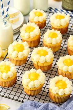 small cupcakes with white frosting and yellow flowers on a wire cooling rack