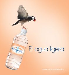 a bird is perched on top of a water bottle with the caption el agua ligera