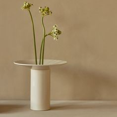 three flowers in a white vase against a beige wall, with one flower still on the table