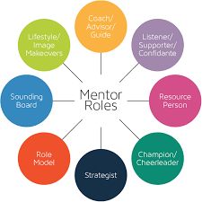 the mentor roles wheel is shown in different colors