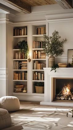 a living room filled with furniture and a fire place in front of a bookshelf