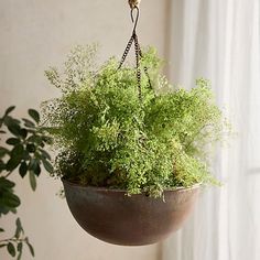 a hanging planter filled with green plants next to a window