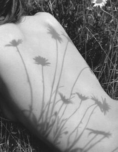 a woman laying in the grass with her back turned to the camera and shadow cast on her body