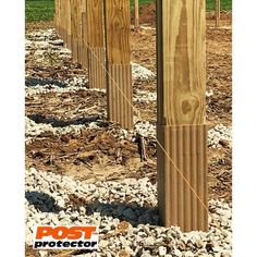 wooden posts are lined up on the ground