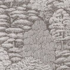 a drawing of trees and bushes in the woods