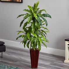 a potted plant sitting on top of a wooden floor in front of a tv