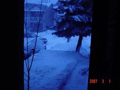 the snow is covering the ground and trees in front of a house with cars parked on it