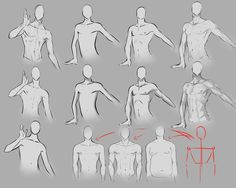 an image of the human body with different poses and gestures for each individual to see