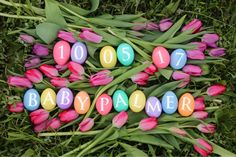 colorful easter eggs with the words babynamer written on them surrounded by tulips