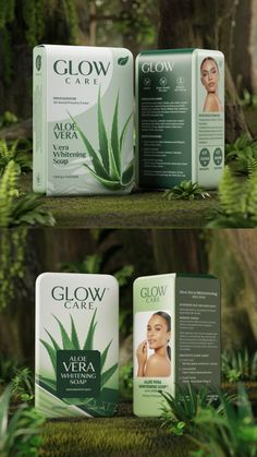 three boxes with aloe vera on them in front of trees and plants, one box has an aloe vera on it