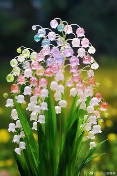 a bunch of flowers that are sitting in the grass with some water droplets on them