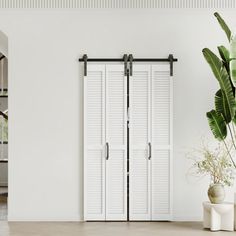 a white room with two doors and a potted plant