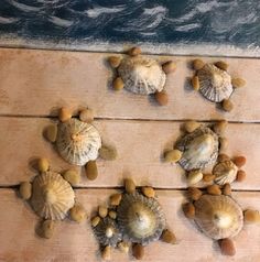 seashells are arranged on a wooden table