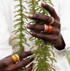 The perfect layering ring for any stack! Our Rainey Domed Horn Ring will have you smiling ear to ear. Up-cycled horn is hand carved into a beautiful bubble dome and then hand-painted in a gorgeous wash of transparent paint. DETAILS Sizes 6, 7, 8, and 9 Up-cycled horn hand-painted in a transparent wash Ships in 1-3 days NOTE: Due to the handmade nature of our pieces, there may be slight variations in size, color, and pattern from item to item. This item is handmade by fair-trade artisans. Please Bubble Dome, Horn Ring, Clay Rings, Fair Trade Jewelry, Layered Rings, Dome Ring, Domed Ring, Mimosa, Horn