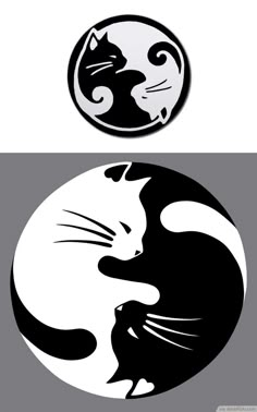 a black and white cat sitting on top of a yin - yang symbol, with the word