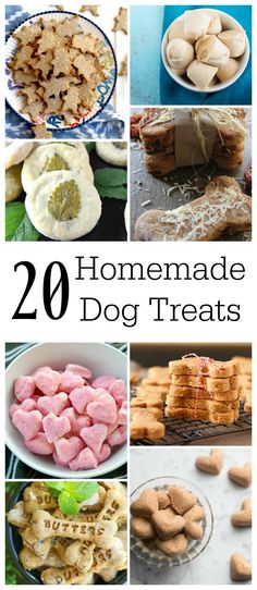 the top 20 homemade dog treats