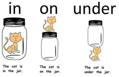 three jars with cats in them and the words in on under