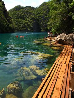 people are swimming in the blue water at placid waters, surrounded by trees