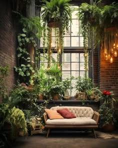 a couch sitting in front of a window filled with potted plants and greenery